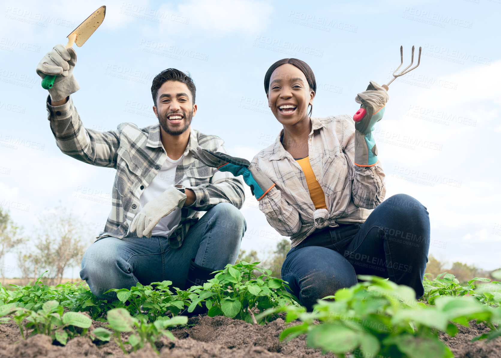 Buy stock photo Excited couple, farmer and agriculture on farm for vegetation together in the countryside. Happy man and woman farmer with smile enjoying gardening for organic produce, harvest or plant growth