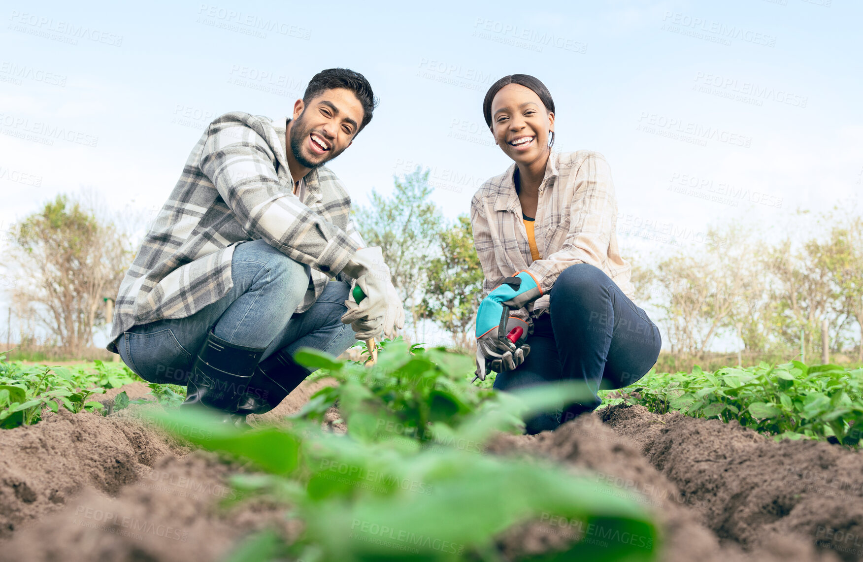 Buy stock photo Agriculture, farm and portrait of happy couple farming, working or planting crops. Agro, sustainability and farmers, interracial couple and man and woman checking on plants health or vegetable growth