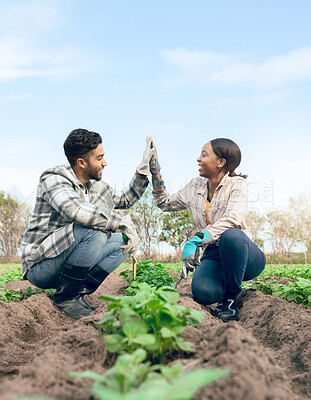 Buy stock photo Farming, agriculture and farmer high five after planting crops, seeds and plants in soil together. Sustainability, teamwork and man and woman growing vegetables, harvest and organic produce on farm