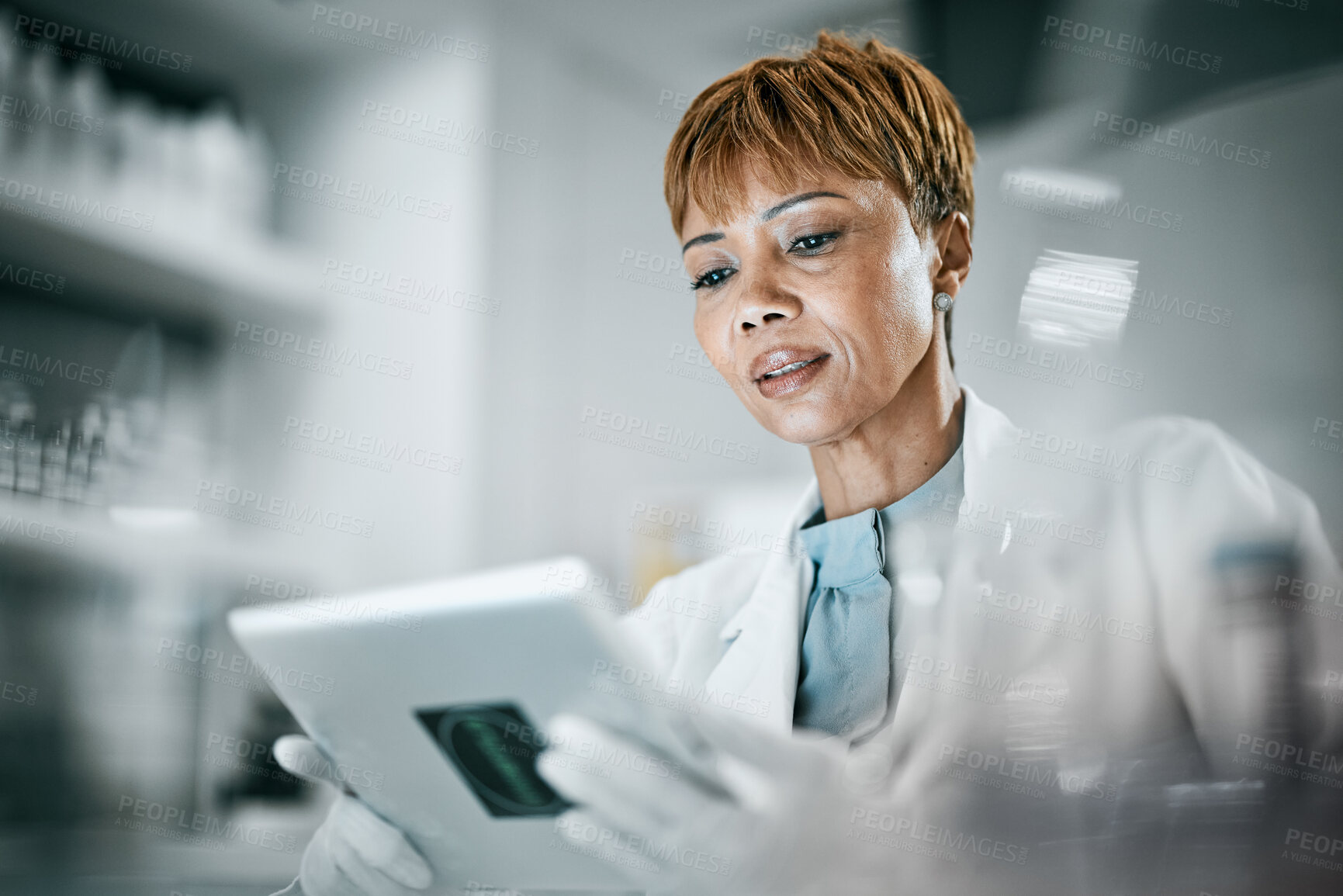 Buy stock photo Science, laboratory and black woman with tablet for research, medical analysis and experiment results. Medicine, healthcare and scientist with digital tech for data analysis, lab study and innovation