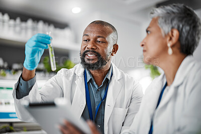 Buy stock photo Laboratory scientist, teamwork or test tube of leaf sample in medical research collaboration, food engineering or sustainability. Talking people, glass or plants science container in innovation ideas