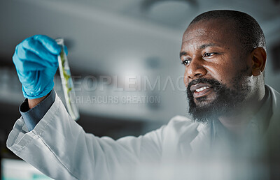 Buy stock photo Black man scientist, test tube and leaves in laboratory analysis, biodiversity study and vision for species conservation. Agriculture science, food security innovation or lab research for future goal