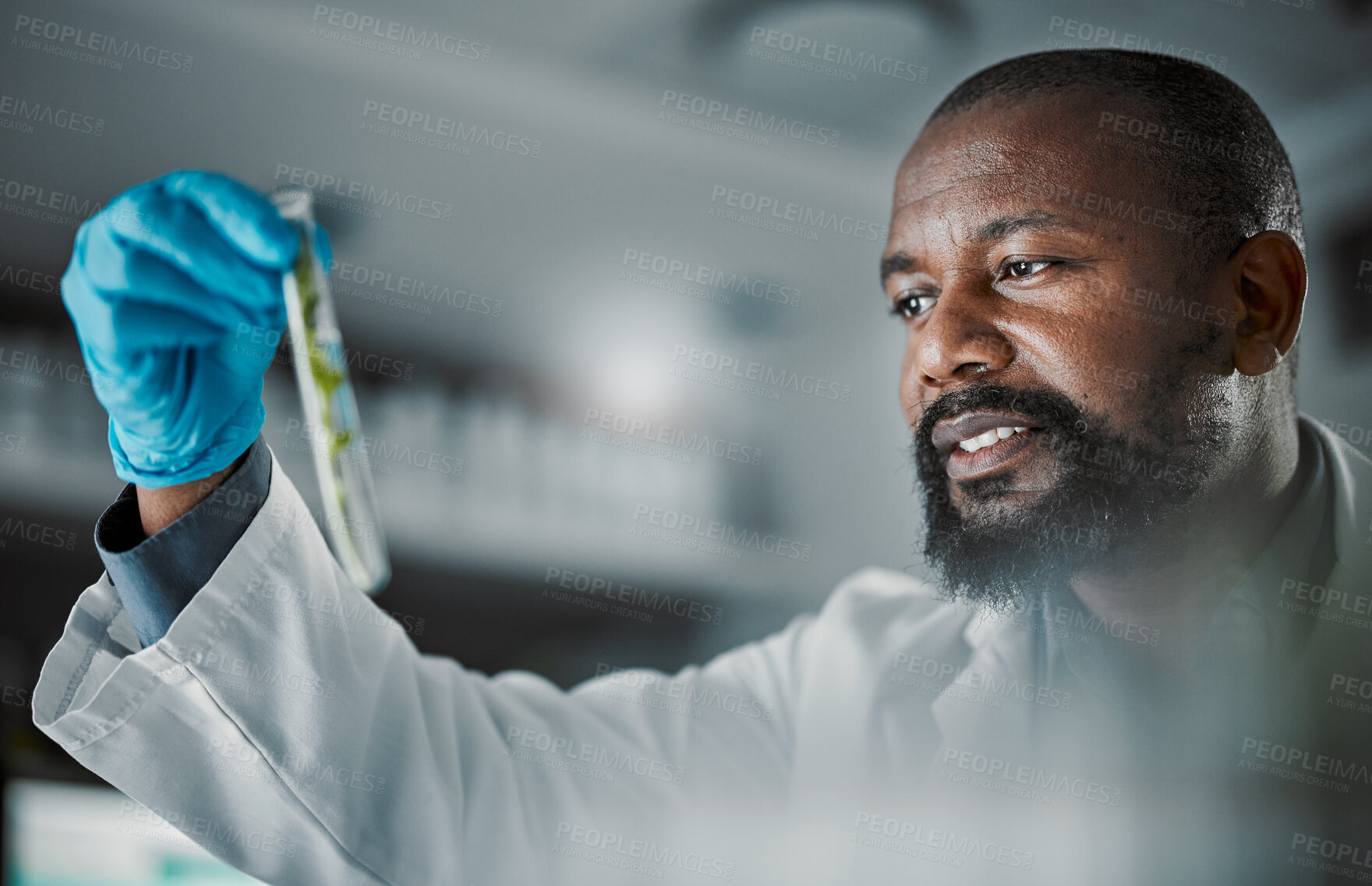 Buy stock photo Black man scientist, test tube and leaves in laboratory analysis, biodiversity study and vision for species conservation. Agriculture science, food security innovation or lab research for future goal