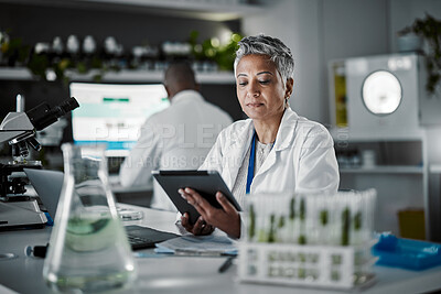 Buy stock photo Woman, thinking or tablet in biology laboratory in plant science, medical research or gmo food engineering. Mature scientist, worker or technology for green sustainability, growth innovation or ideas