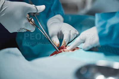 Buy stock photo Surgery scissors, blood and doctor hands tools with medical surgeon at hospital and clinic emergency. Health service, doctors and wellness care of a healthcare worker working on a patient with tools