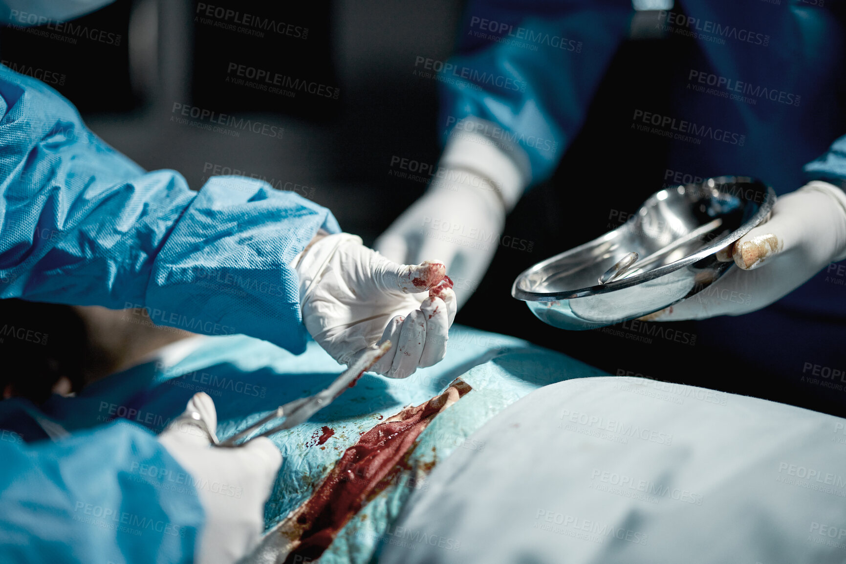 Buy stock photo Surgery team, nurses and doctor hands with medical surgeon scissors for hospital and clinic emergency. Health service, doctors and wellness care of a healthcare worker working on a patient with blood