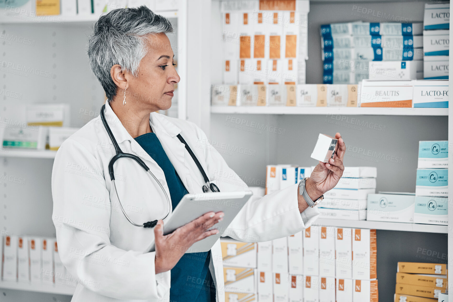 Buy stock photo Medication, tablet and female pharmacist in pharmacy doing research on pills and medicine. Healthcare, medical and senior pharmaceutical worker checking prescription chemist drugs at medicare clinic.