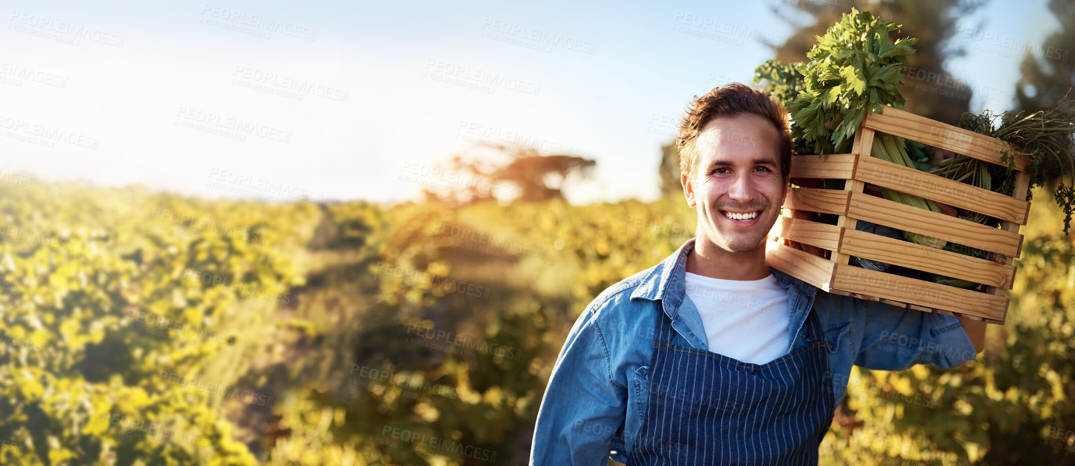 Buy stock photo Agriculture, portrait and mockup with a farm man carrying a basket during the harvest season for sustainability. Agricultural, nature and mock up with a male farmer working outdoor in the countryside