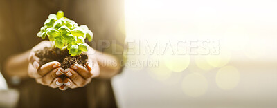 Buy stock photo Plant in hands or palm for earth day, sustainability and gardening mockup in nature, agriculture and farming hope. Eco friendly, growth and person hand holding soil and leaves for green project