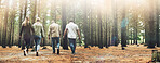 Hiking, group of people and forest trees for nature walk, journey and adventure in lens flare. Trekking family, friends or community with fitness and natural environment for wellness in Alaska woods