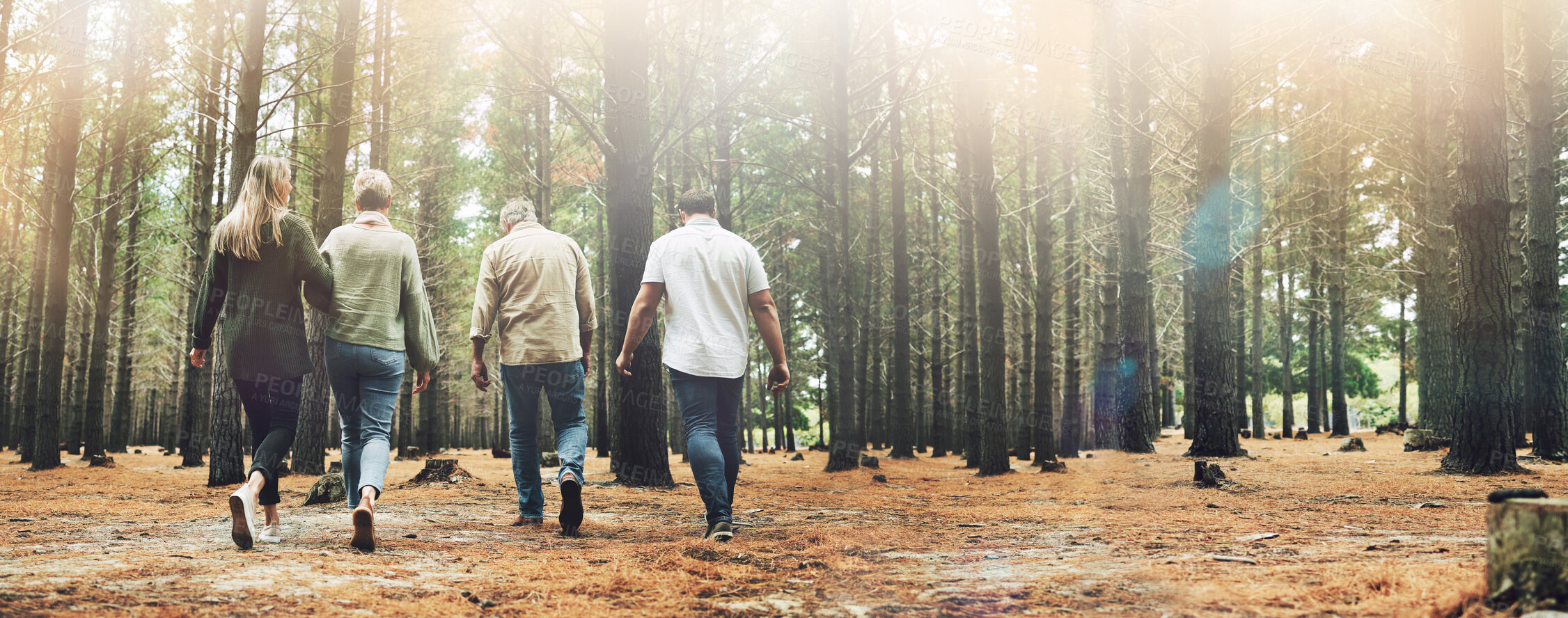 Buy stock photo Hiking, group of people and forest trees for nature walk, journey and adventure in lens flare. Trekking family, friends or community with fitness and natural environment for wellness in Alaska woods