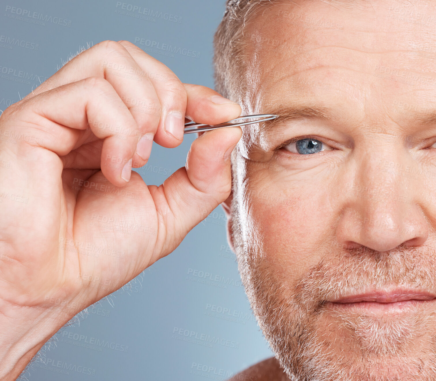 Buy stock photo Face, portrait and man with eyebrow tweezers in studio isolated on a blue background for wellness. Health, grooming and senior male model with plucking tool for hair removal, cleaning and beauty.