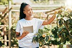 Black woman, farmer and tablet for agriculture growth, eco friendly or sustainability at farm. African American female holding touchscreen and organic fruit for sustainable farming in the countryside