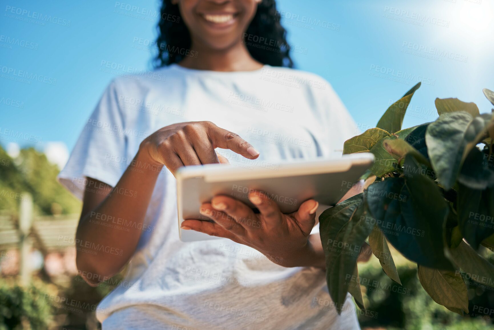 Buy stock photo Black woman, hands and tablet with smile for agriculture, eco friendly or sustainability at farm. Hand of African American female holding touchscreen for growth or sustainable countryside farming