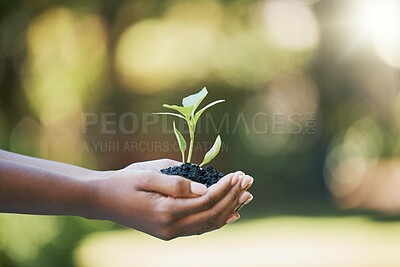 Buy stock photo Plants growth, hands and sustainability, eco friendly or earth day gardening in nature, agriculture or agro farming hope. Green leaves, environment and sustainable person palm for natural development