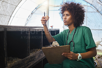 Buy stock photo Veterinary, farm and black woman with egg and clipboard for health checklist, wellness and inspection. Chicken farming, animal healthcare and nurse for medical report, analysis and growth results