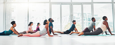Buy stock photo Yoga class, fitness and exercise with people together for health, diversity and wellness. Men and women in zen studio for holistic workout, mental health and body balance with cobra mockup on ground