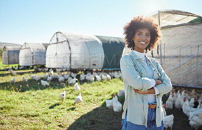 Buy stock photo Agriculture, portrait and black woman leadership, proud and farming in sustainable chicken, free range and food industry. Sustainability, small business owner or farmer person with animal on field