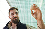 Agriculture, farm and farmer with egg in hand for inspection, growth production and health check. Poultry farming, food industry and man with chicken eggs for export, protein sale and quality control