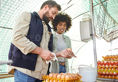 Buy stock photo Chicken farmers, egg production and people check inventory of stock, logistics or supply chain in food industry. Man, woman and poultry workers farming for eggs, inspection and growth of eco export