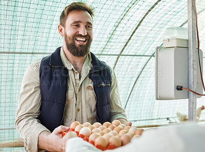 Buy stock photo Farm, agriculture and man with egg for quality control, growth production and food industry. Poultry farming, countryside and farmer with chicken eggs for logistics, protein market and inspection
