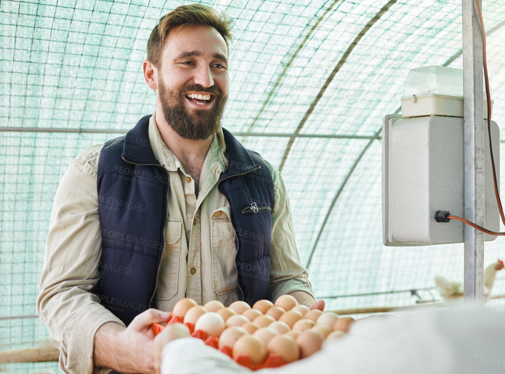 Buy stock photo Farm, agriculture and man with egg for quality control, growth production and food industry. Poultry farming, countryside and farmer with chicken eggs for logistics, protein market and inspection