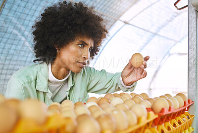 Buy stock photo Farm, agriculture and black woman check egg for inspection, growth production and food industry. Poultry farming, livestock and female farmer with chicken eggs for order, protein and quality control