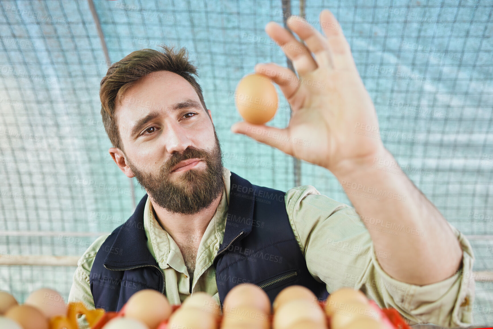 Buy stock photo Farm, agriculture and man with egg in hand for inspection, growth production and food industry. Poultry farming, organic and farmer with chicken eggs for logistics, protein market and quality control