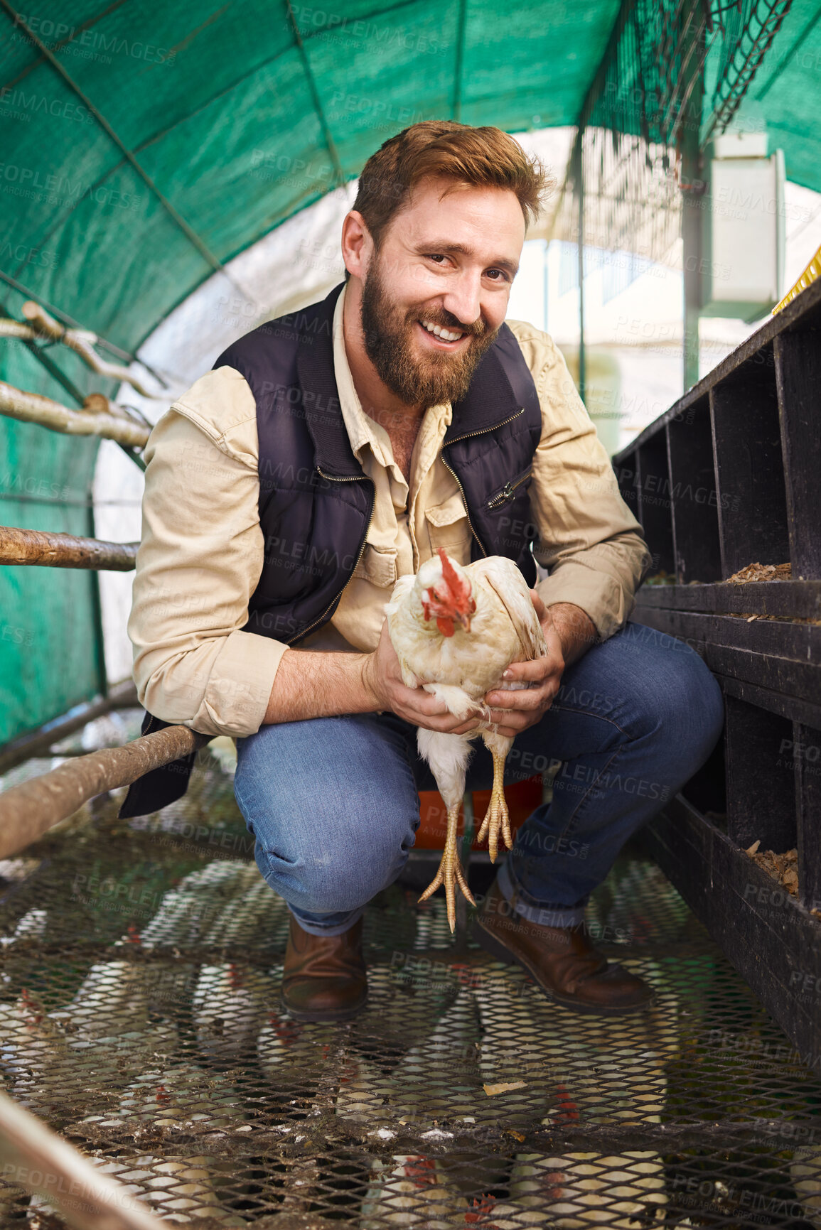 Buy stock photo Man, chicken farmer and portrait with bird for eggs, protein or organic meat product in agriculture industry. Farming, poultry expert or inspection of animal for health, wellness or sustainability