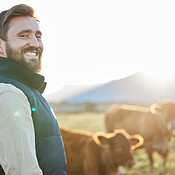 Sustainability, cows and portrait of farmer with smile on field, happy ...