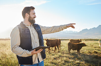 Buy stock photo Point, cow or agriculture man with tablet on farm for sustainability, production or industry growth research. Agro, happy or farmer on countryside field for dairy stock, animals or food with smile