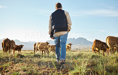 Buy stock photo Man, farm and herd of animals in the countryside for agriculture, travel or natural environment. Male farmer walking on grass field with livestock, cattle or cows for nature, growth or sustainability