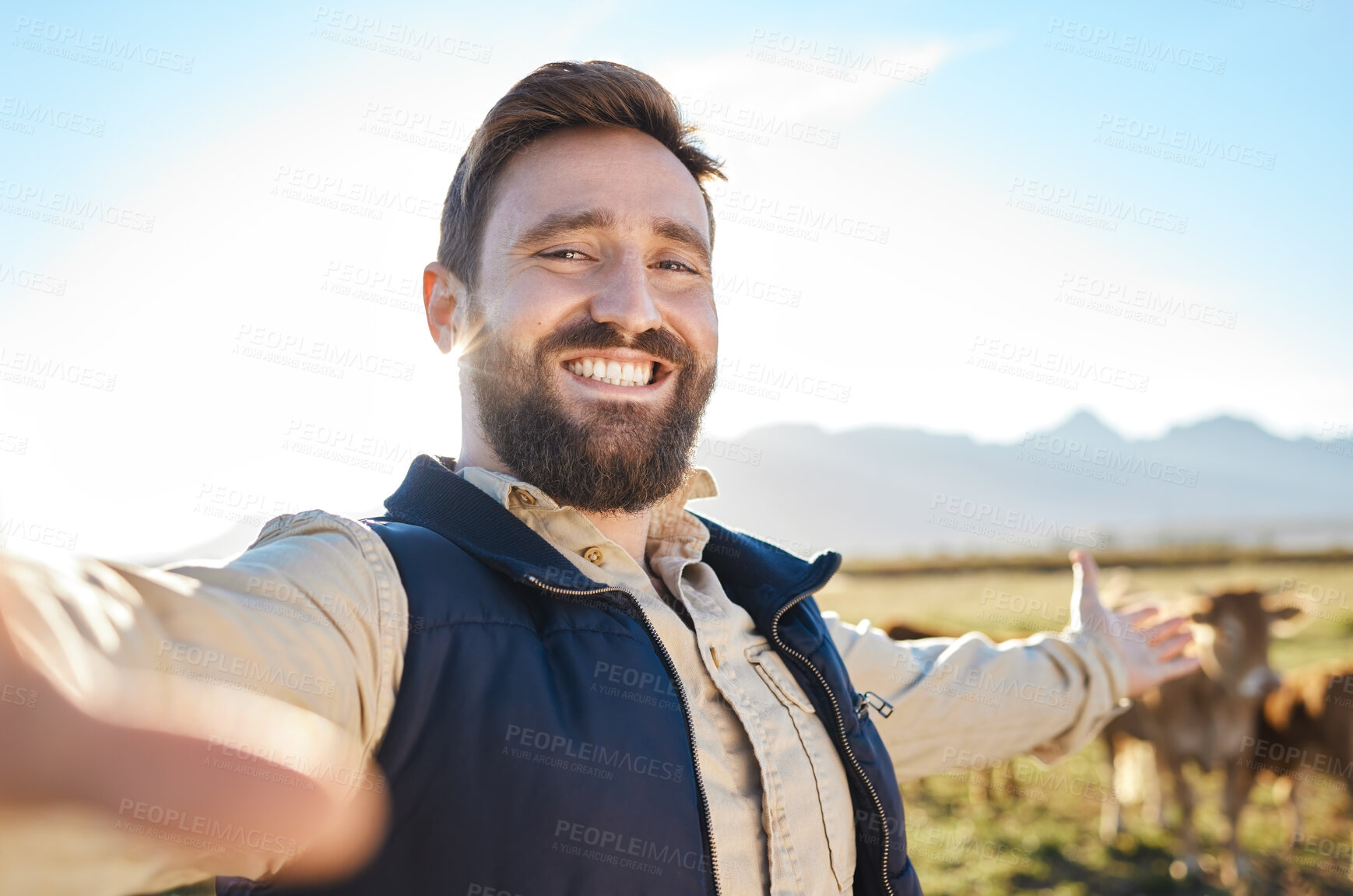 Buy stock photo Selfie, agriculture or man video call with cow for social media, eco friendly blog or agro small business advertising. Marketing, face or happy farmer portrait for sustainability or 5g networking