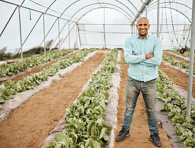 Buy stock photo Man, farmer and smile with arms crossed for agriculture farming in greenhouse, sustainability or crop harvest. Portrait of male on farm with fresh vegetable produce, green and eco friendly production