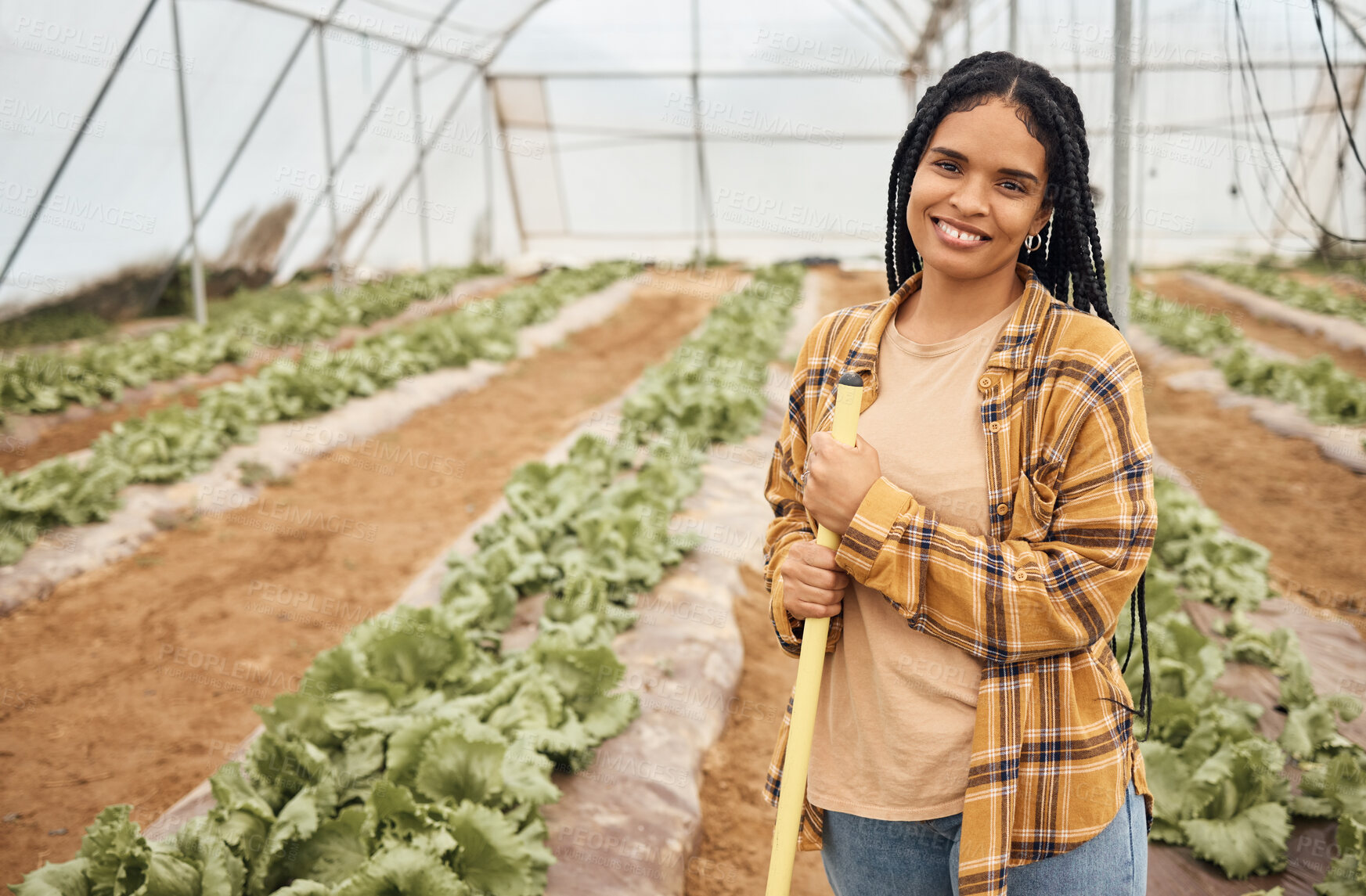 Buy stock photo Black woman, farmer happy in portrait with agriculture and farming in greenhouse, sustainability with crop harvest. Environment, farm and fresh vegetable produce, green lettuce production and agro