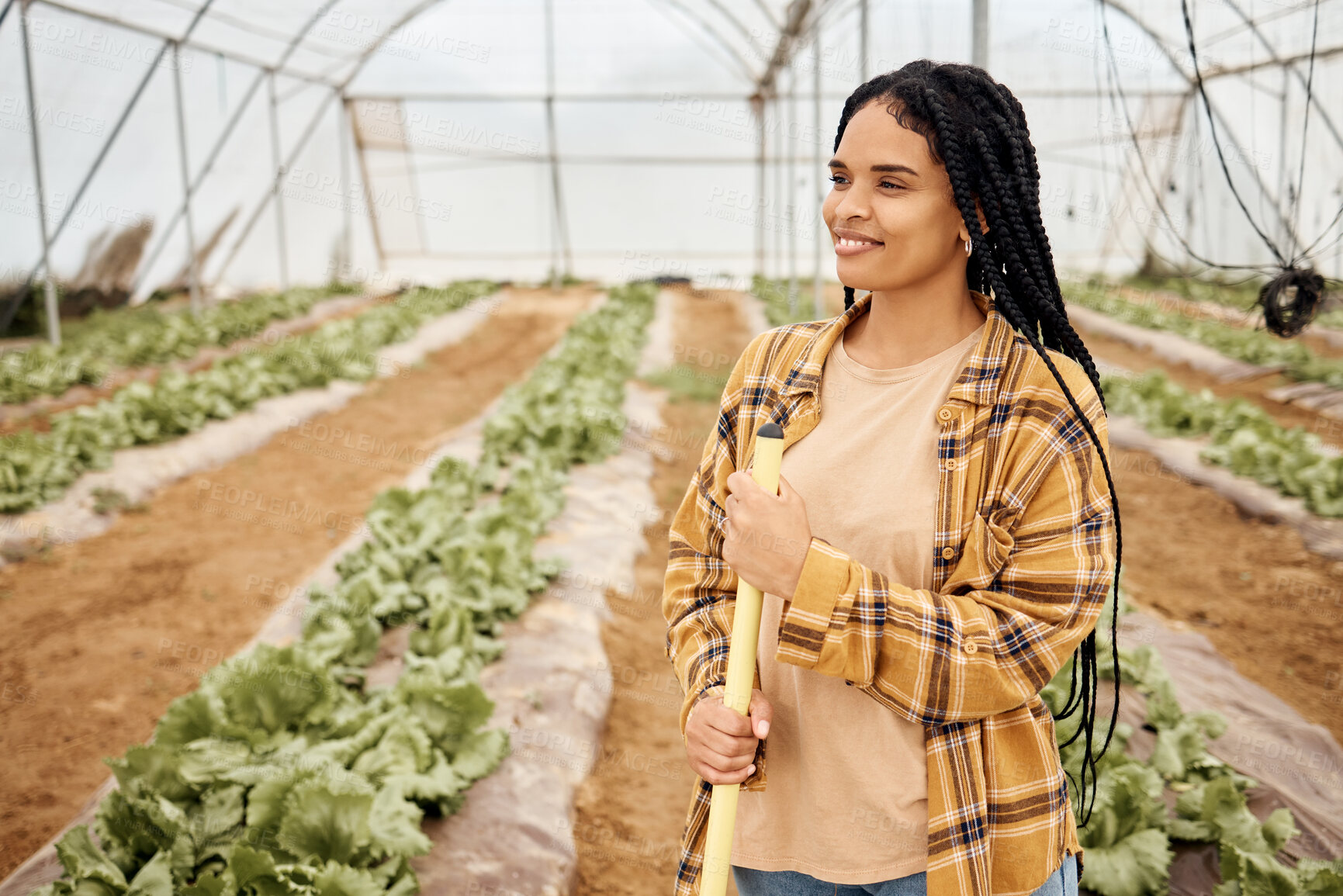 Buy stock photo Black woman, farmer happy with agriculture and thinking about farming in greenhouse, sustainability with crop harvest. Environment, farm and vegetables with green lettuce production and agro vision