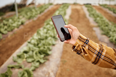 Buy stock photo Hands, phone and farmer at farm typing, texting or web scrolling on sustainable technology. Mobile screen, agriculture and female with smartphone for social media or app to check growth of plants.