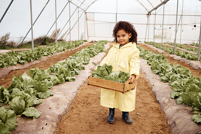 Buy stock photo Child, portrait or harvesting vegetables in container, greenhouse land or agriculture field for export logistics sales. Smile, happy or farming kid and crate for lettuce help or food crops collection