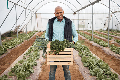 Buy stock photo Man, portrait and harvesting vegetables in crate, greenhouse land or agriculture field for export logistics sales. Smile, happy and farmer with container for food crops collection or customer retail