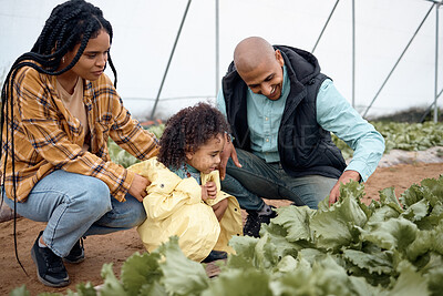 Buy stock photo Black family, agriculture farm and greenhouse garden to check growth of plants. Love, agro learning and care of father, mother and child, girl or kid on field for harvest, farming and sustainability.