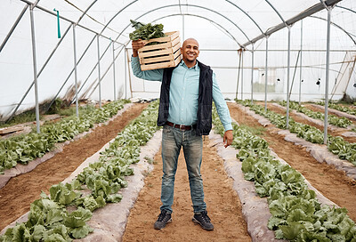 Buy stock photo Farmer, portrait and harvesting vegetables in crate, greenhouse land or agriculture field for export logistics sales. Smile, happy or farming man with box for food crops collection or customer retail