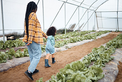Buy stock photo Agriculture, farm and mother with girl in greenhouse for gardening, farming and harvest vegetables. Black family, nature and happy child walking with mom for growing plants, organic food and produce