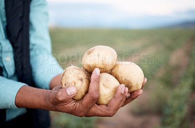 Buy stock photo Worker, hands or harvesting potatoes in farm, agriculture field growth or countryside nature environment in export logistics sales. Zoom, black man or farmer with ground vegetables food or soil crops