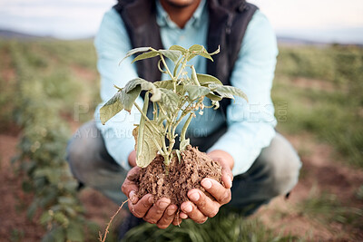 Buy stock photo Farmer, hands and planting in soil agriculture, sustainability farming or future growth planning in climate change support. Zoom, black man and green leaf plants in environment, nature or countryside