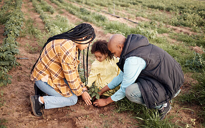 Buy stock photo Farming family, kid or planting in soil agriculture, sustainability learning or future growth planning of earth food. Man, woman or farmer child and green leaf plant in nature countryside environment