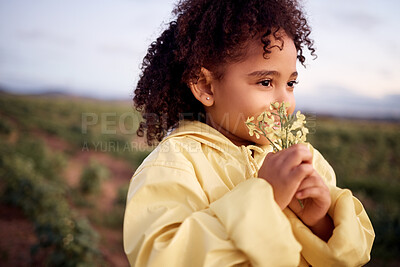 Buy stock photo Children, farm and a girl smelling a flower outdoor in a field for agriculture or sustainability. Kids, nature and spring with a female child holding flowers to smell their aroma in the countryside