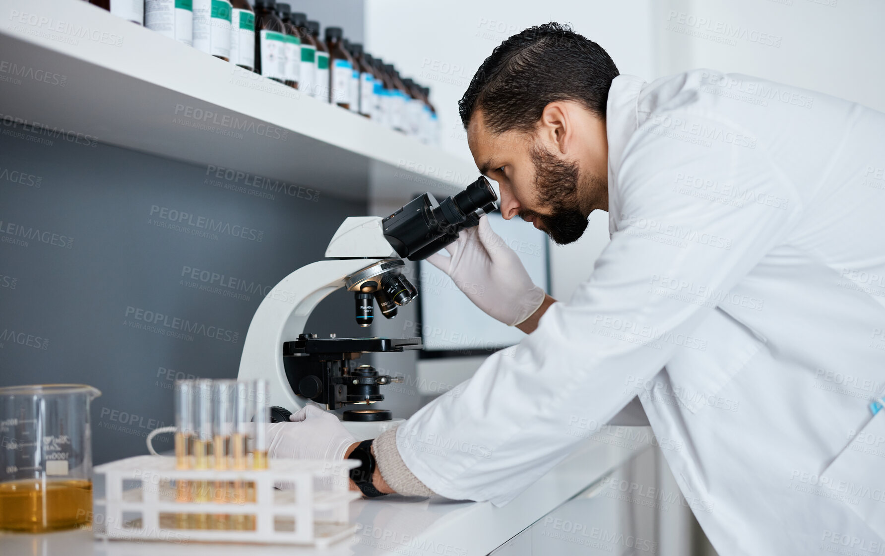 Buy stock photo Science, microscope and innovation with a doctor man at work in a laboratory for research or development. Medical, analytics and biotechnology with a male scientist working in a lab for breakthrough