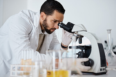 Buy stock photo Science, microscope and research with a doctor man at work in a laboratory for innovation or development. Medical, analytics and biotechnology with a male scientist working in a lab for breakthrough