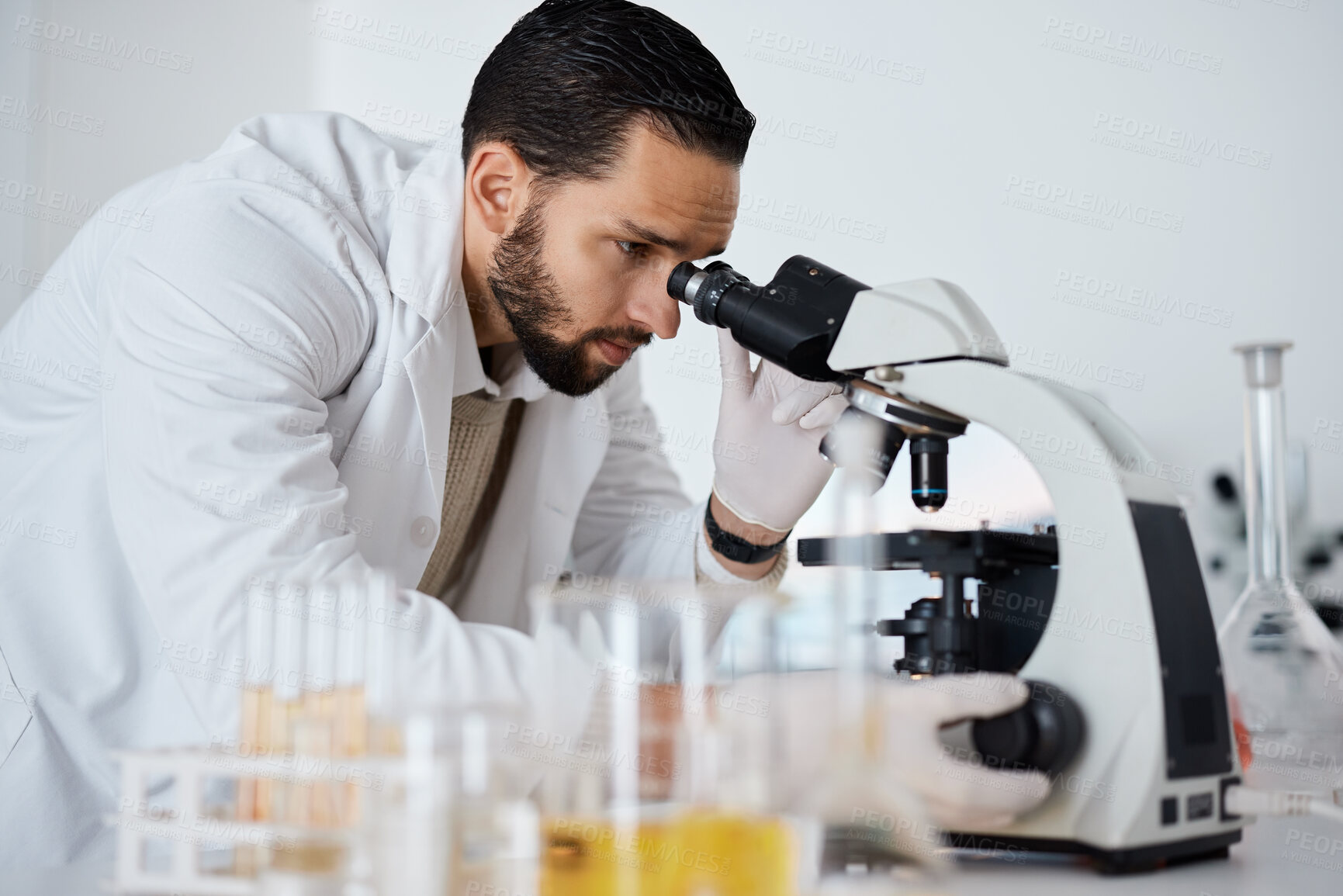 Buy stock photo Science, microscope and research with a doctor man at work in a laboratory for innovation or development. Medical, analytics and biotechnology with a male scientist working in a lab for breakthrough