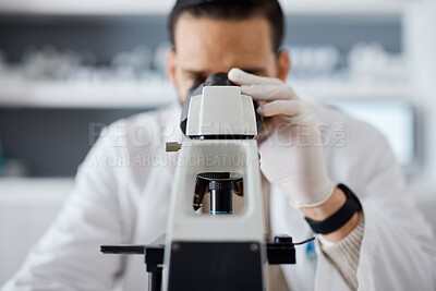 Buy stock photo Medical, microscope and research with a man scientist at work in a laboratory for innovation or development. Science, analytics and biotechnology with a male doctor working in a lab for breakthrough